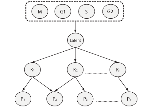 Bayesian network model